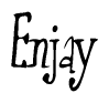 The image is of the word Enjay stylized in a cursive script.