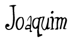The image is a stylized text or script that reads 'Joaquim' in a cursive or calligraphic font.