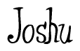 Joshu