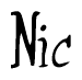 The image is a stylized text or script that reads 'Nic' in a cursive or calligraphic font.