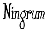 The image contains the word 'Ningrum' written in a cursive, stylized font.