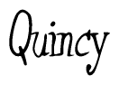 The image is of the word Quincy stylized in a cursive script.