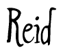The image is of the word Reid stylized in a cursive script.