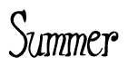 The image contains the word 'Summer' written in a cursive, stylized font.
