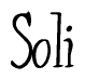 The image is of the word Soli stylized in a cursive script.