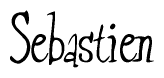 The image is of the word Sebastien stylized in a cursive script.