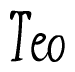 The image contains the word 'Teo' written in a cursive, stylized font.