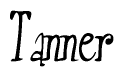 The image is of the word Tanner stylized in a cursive script.