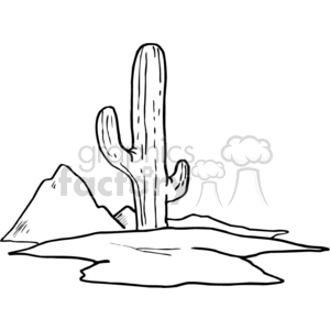clipart - black and white cactus.