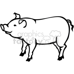 pig pigs farm animals pork vector vinyl-ready black white 