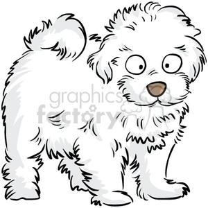 Fluffy white maltipoo puppy clipart. Commercial use image # 377054