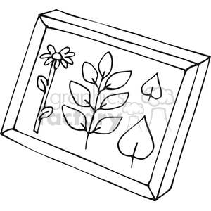 clipart - Black and white outline of leaves in a shadow box.