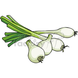 onions clipart. Commercial use image # 383071