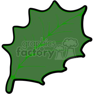 green American Holly Leaf clipart.