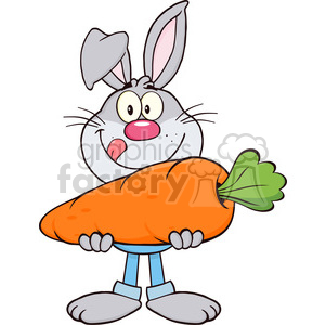 Royalty Free RF Clipart Illustration Hungry Gray Rabbit Cartoon Character Holding A Big Carrot clipart.