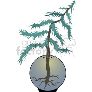 clipart - Terrarium Spruce Pine Tree.