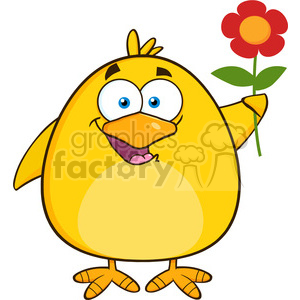 8601 Royalty Free RF Clipart Illustration Happy Yellow Chick Cartoon Character With A Red Daisy Flower Vector Illustration Isolated On White clipart.