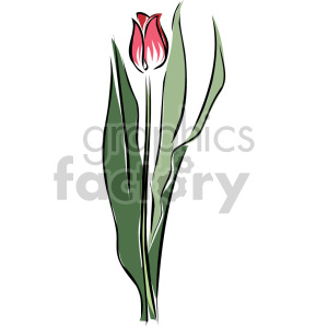 red tulip clipart. Commercial use image # 151193