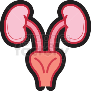female ovaries icon