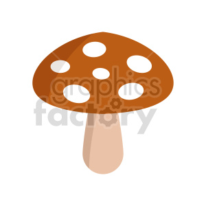 nature mushroom fungi