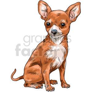 chihuahua vector graphic clipart.