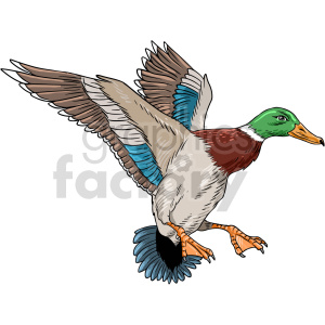 duck vector graphic clipart. Commercial use image # 416174