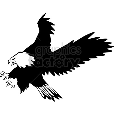 eagle bird black+white