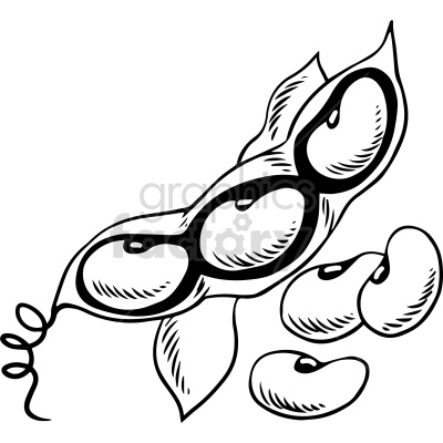 black and white peas clipart