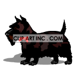animated Scottie clipart. Royalty-free image # 119336