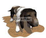   basset dog dogs bassets  basset1.gif Animations 3D Animals 