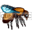 animals_insects_109 animation. Commercial use animation # 125156