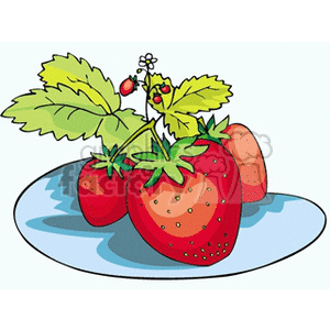 Big fresh red strawberries clipart.