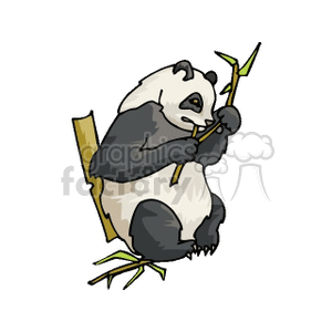 panda clipart. Royalty-free image # 128995