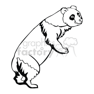  bear bears panda   Anml069_bw Clip Art Animals 