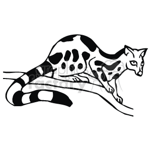 This clipart image shows a black-and-white drawing of a speckled lemur, walking along a branch. It's fur has black patches and stripes across it.