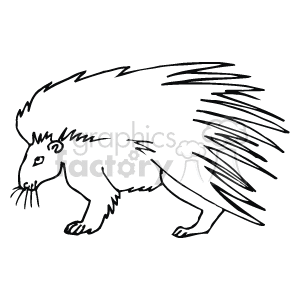 The line art drawing image shows a porcupine, which is a type of animal known for its sharp quills or spines that cover its body. The porcupine in the image is standing on its four legs and facing towards the left side of the viewer.

