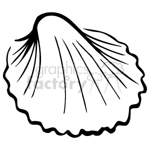 black outline of a sea shell 