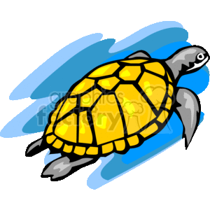 clipart - Marine sea turtle .