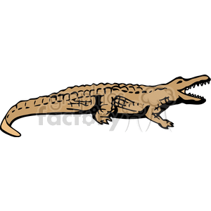Full body profile of crocodile