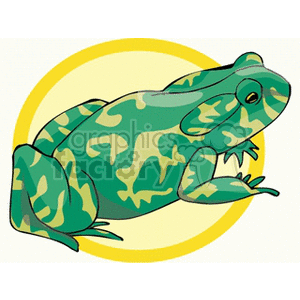 clipart - Spotted green frog.