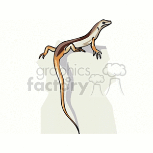 Brown salamander with long tail clipart.