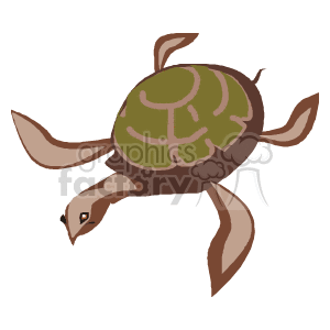 clipart - Aquatic brown sea turtle with green shell.