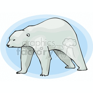 Profile of a polar bear clipart. Commercial use image # 130114