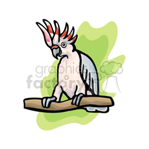 Major Mitchell's pink cockatoo clipart. Royalty-free image # 130287