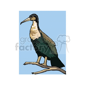 Brown crane perched in a tree clipart. Commercial use image # 130296