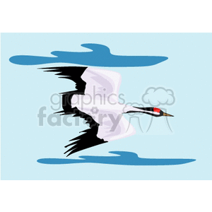 Whooping crane in flight against a blue sky clipart. Commercial use image # 130304