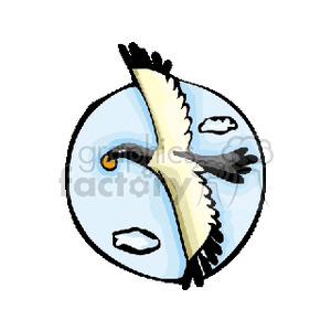 Black and white flying bird with orange object in mouth clipart. Royalty-free image # 130423