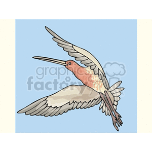 Peach and grey colored hummingbird clipart. Royalty-free image # 130467