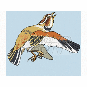 Mongolian lark flying through blue skies and singing clipart. Royalty-free image # 130506