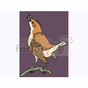 Brown and cream nightingale clipart. Commercial use image # 130508